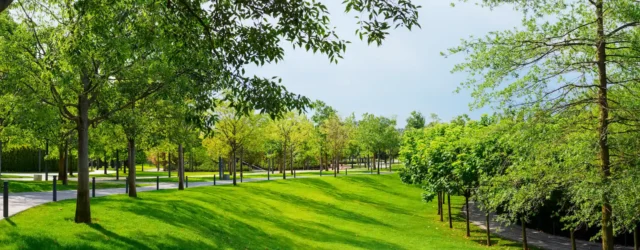 Anlægsgartner for erhverv og offentlige bygherrer